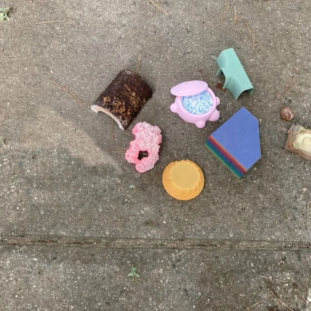 Gecko cage items